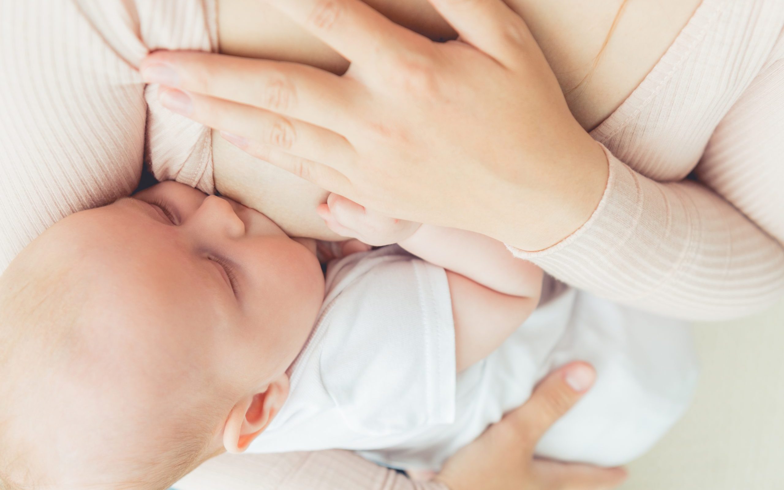 l’allaitement maternel